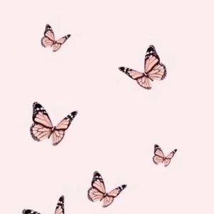 Meet your Posher, Ella